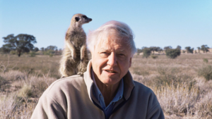 David Attenborough: A Lifetime of Nature's Stories